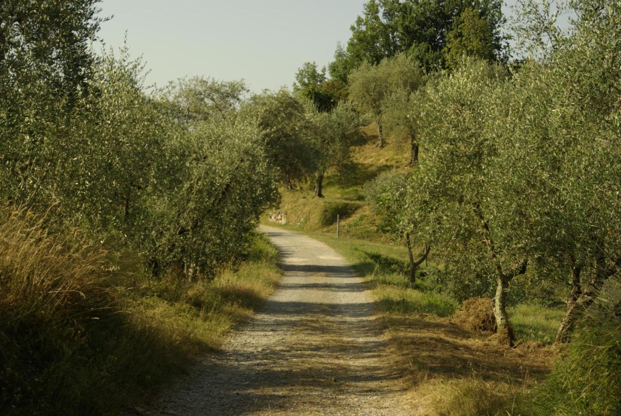 Aramo Verde ภายนอก รูปภาพ